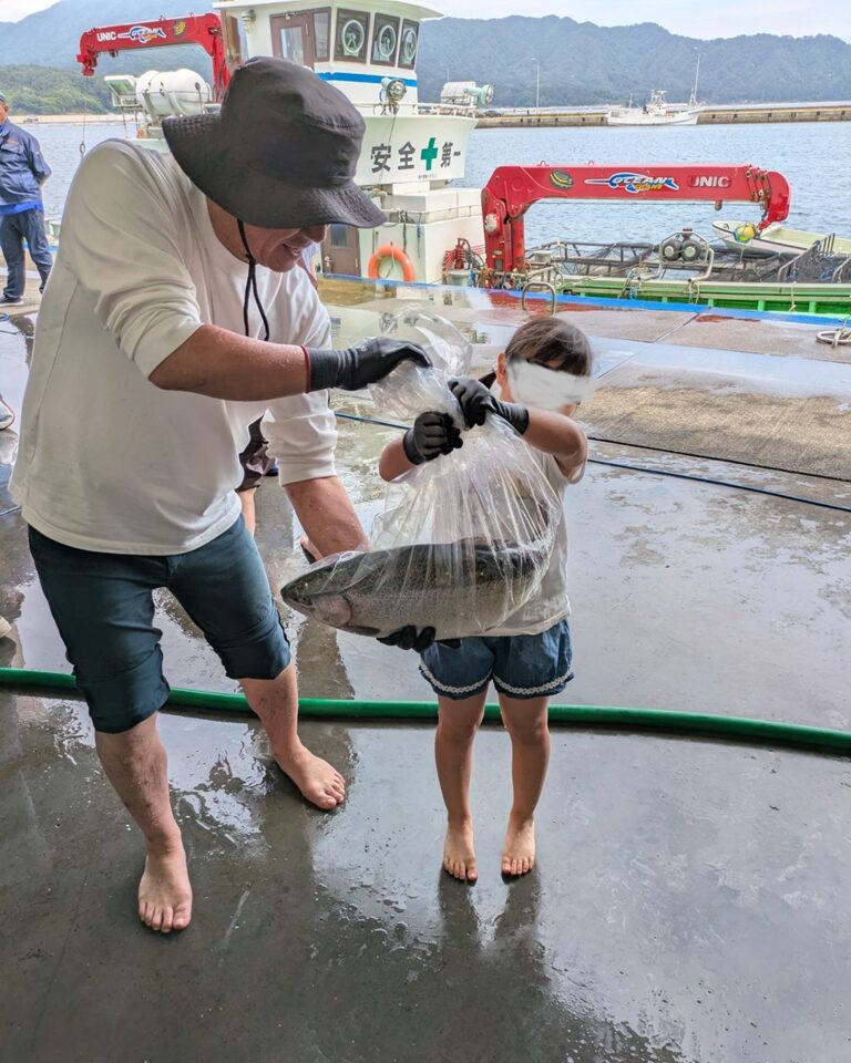 三陸・岩手県山田町から直送する旬の海産物お任せセット