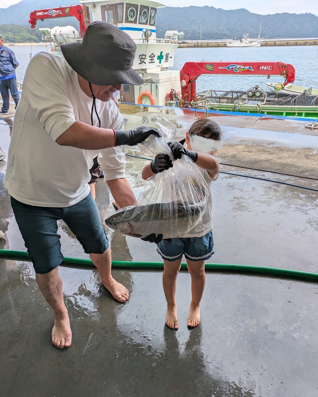 三陸・岩手県山田町から直送する旬の海産物お任せセット